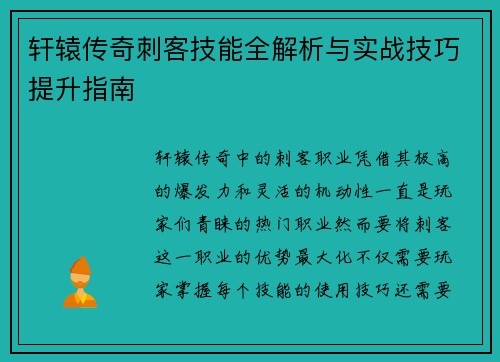 轩辕传奇刺客技能全解析与实战技巧提升指南
